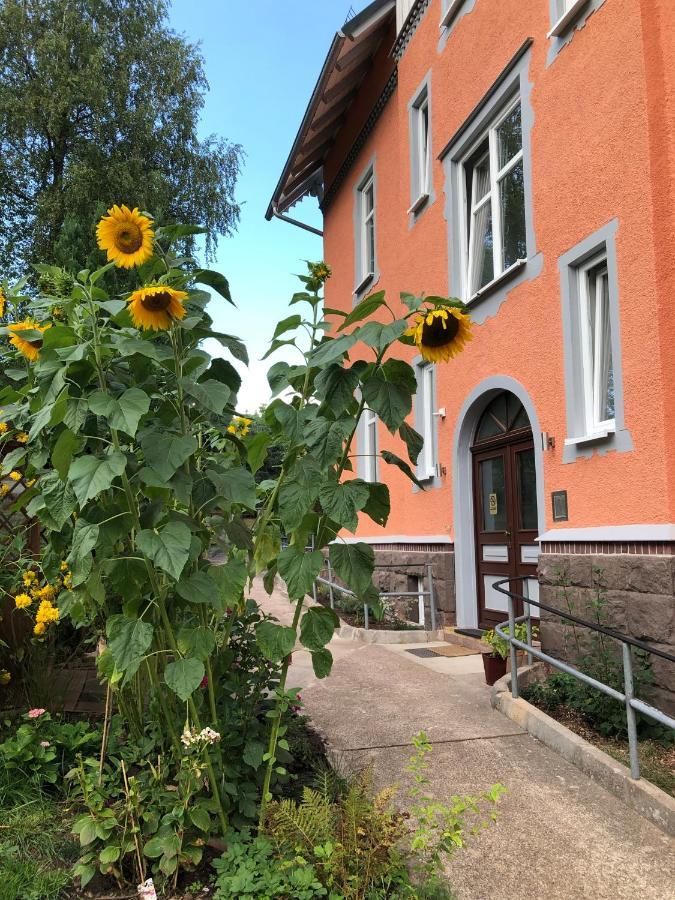 Moderne Ferienwohnung In Alter Villa Georgenthal  Exterior photo